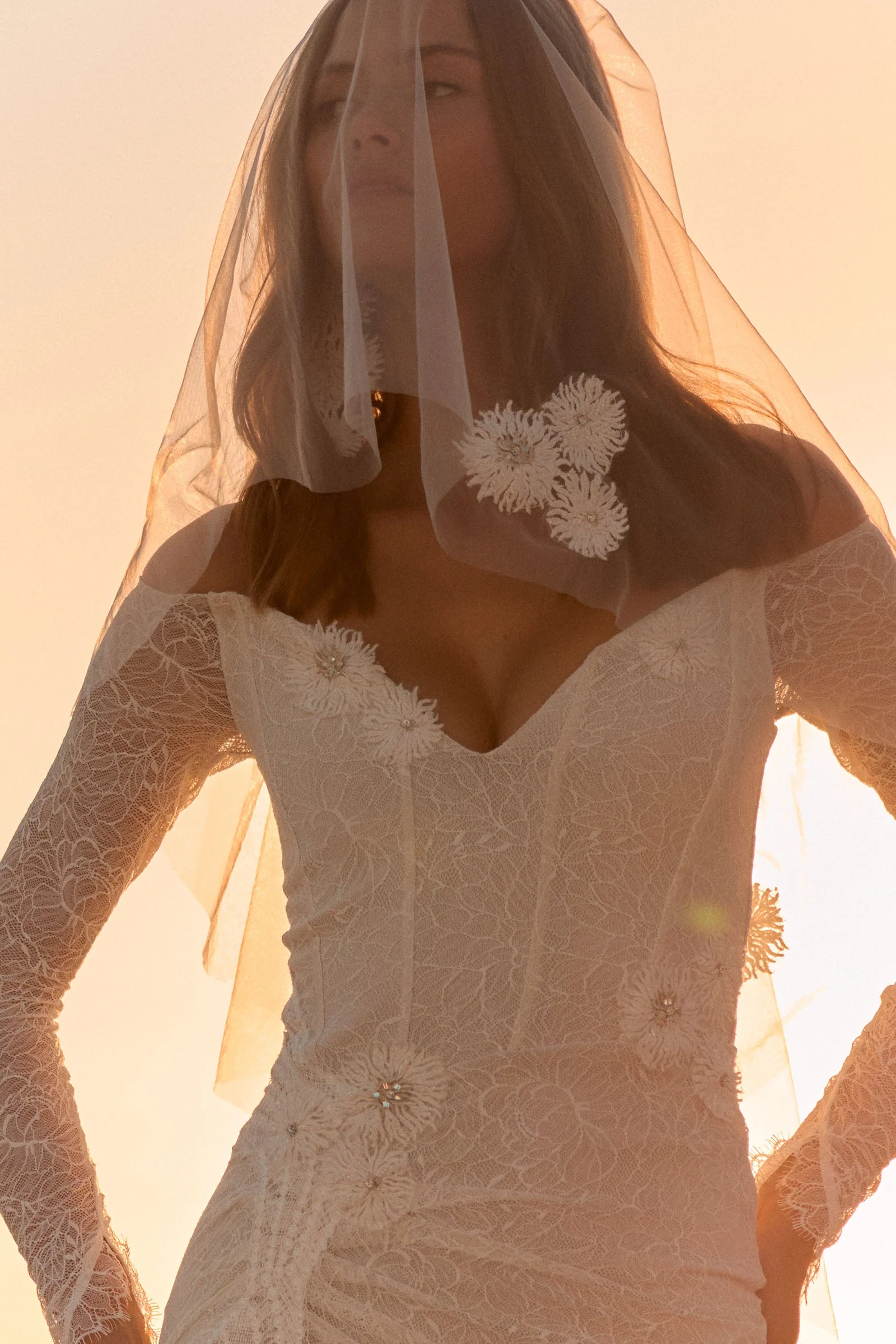 Rosie Veil - Image 4
